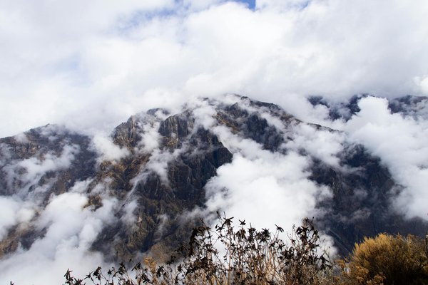 Comment organiser une visite des temples jaïns de Mont Abu, Inde?